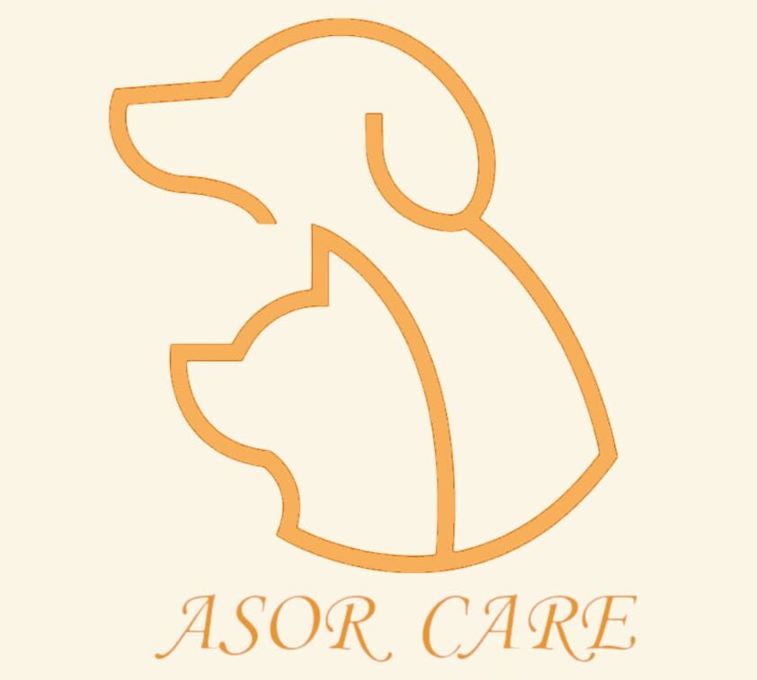 asorcare.com